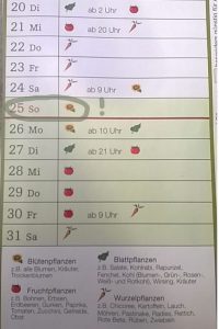 Ansaaten von einjährigen Wildblumen direkt in die Balkonkästen auf dem Wilden Meter: Mondkalender