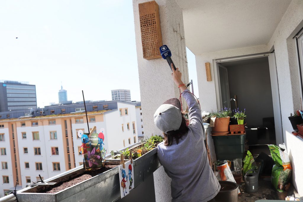 radioMikro, das Kinderradio des Bayerischen Rundfunks, zu Besuch auf dem Wilden Meter