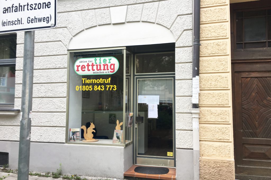 Tierrettung München in der Herzogstraße