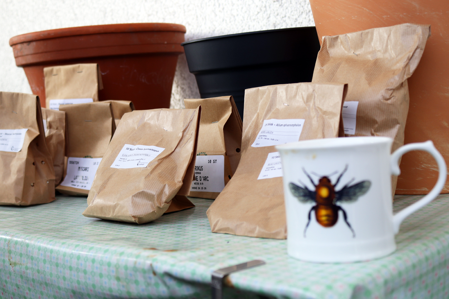 Zwiebellieferung Herbst 2018 und Töpfe