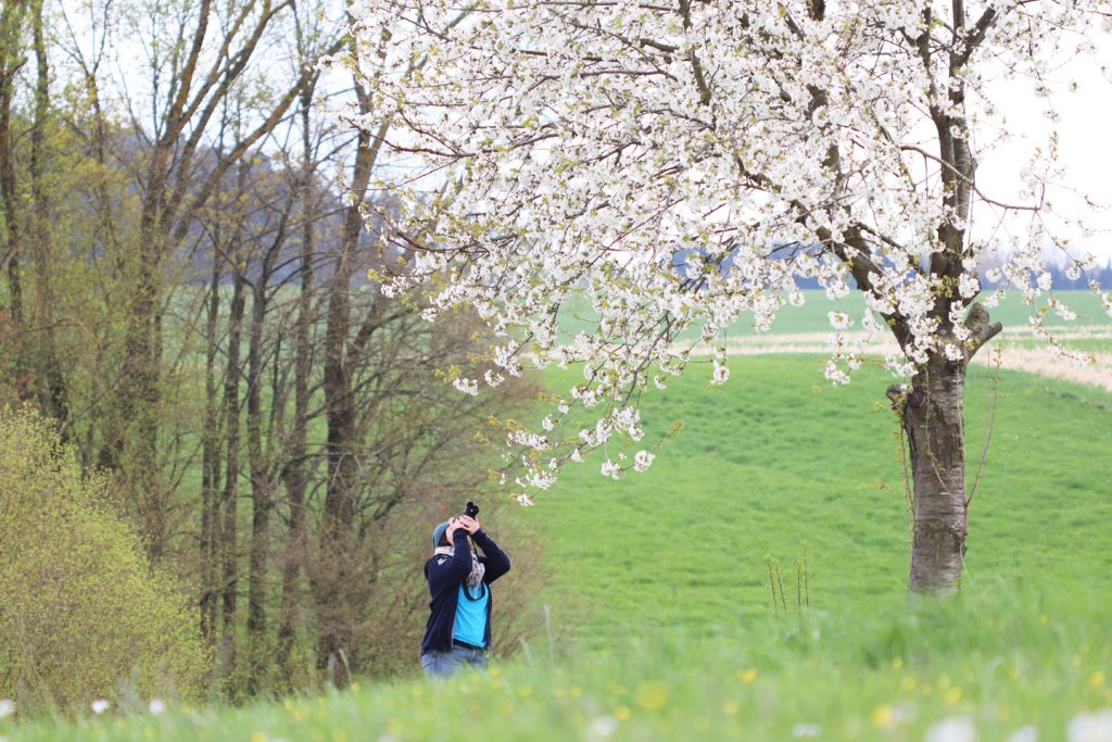 Die Balkon-Redaktion begibt sich auch mnachmal auf Fotosafari im Freiland.