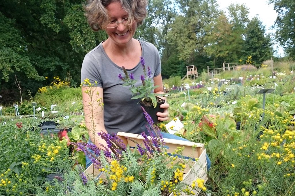 Susanne Spatz-Behmenburg in ihrer Gärtnerei