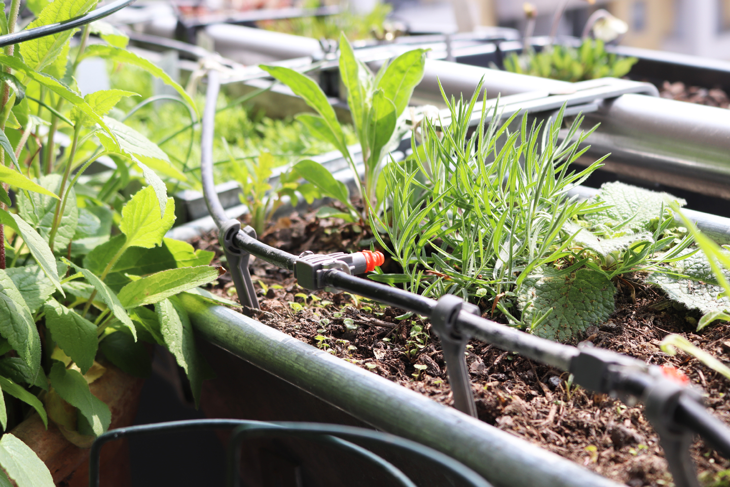 Gardena-Urlaubsbewässerungsanlage