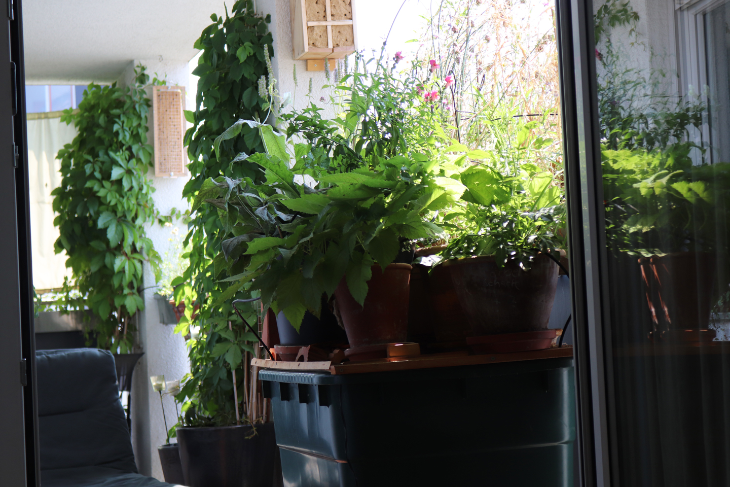 Grüne Wassertonne aus Plastik mit einem Fassungsvermögen von 300 Litern