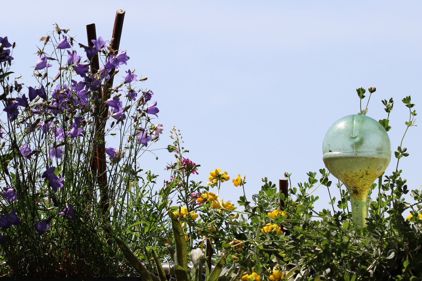 Wasserkugel als Wassersepender. Sie verschmutzt leicht.