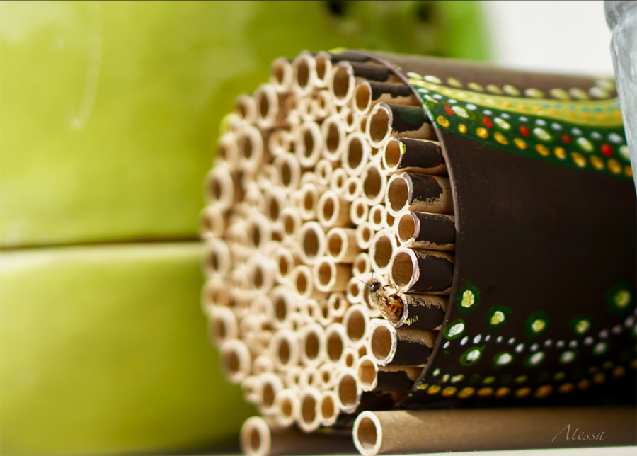 Nisthilfe auf dem Balkon von Atessa