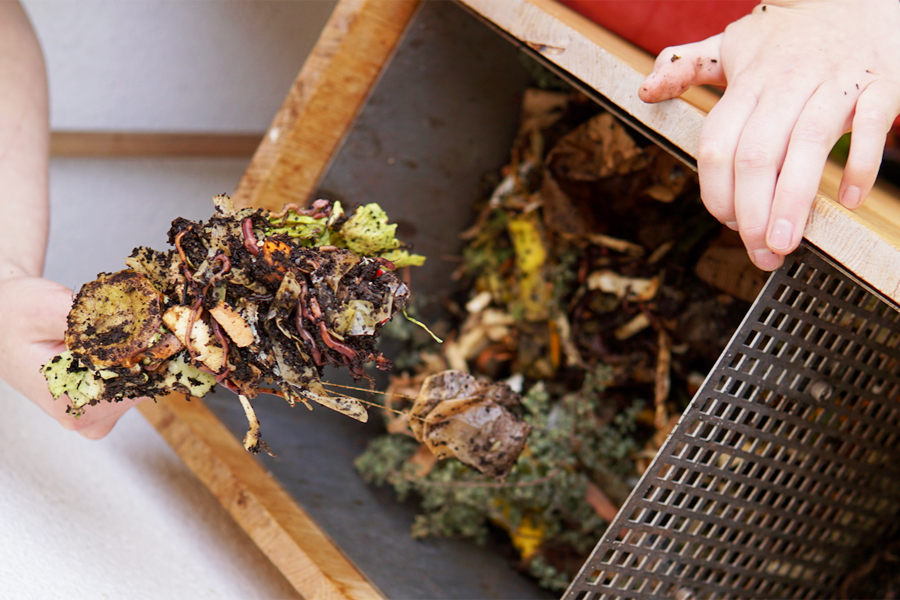 Wurmkiste auf dem Balkon von Atessa Bienhüls