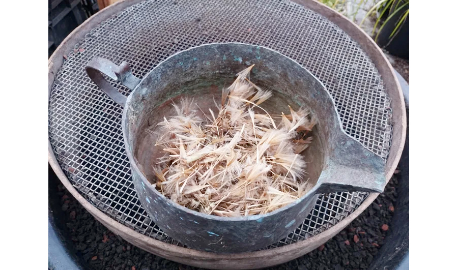 Sieb zum Reinigen von Saatgut