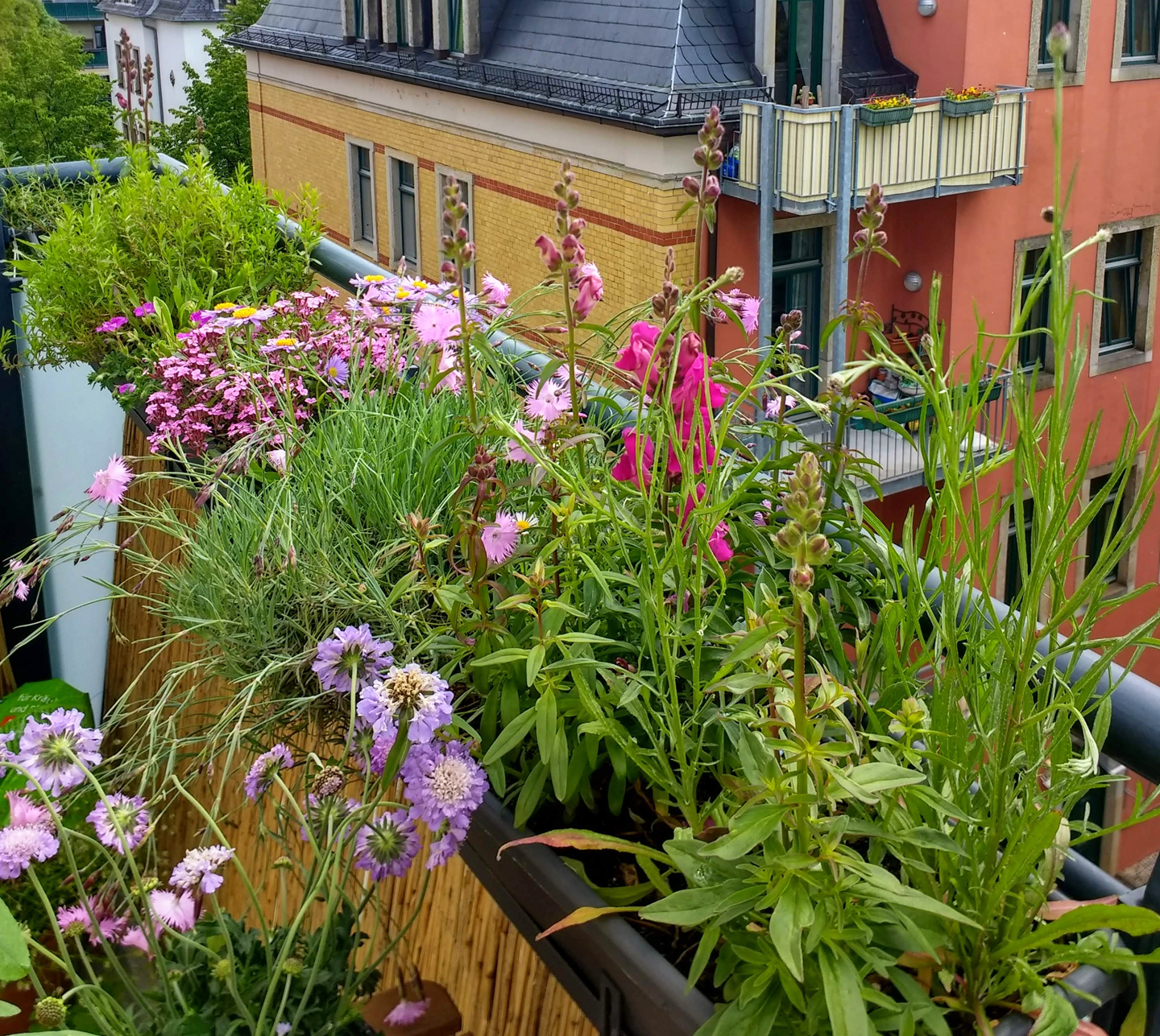 Jahreszeitenwandel: Im Frühjahr sieht es noch adrett und manierlich aus…