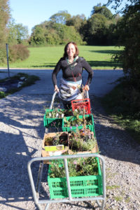 Staudeneinkauf für den Wilden Meter (c) Anja Salewski