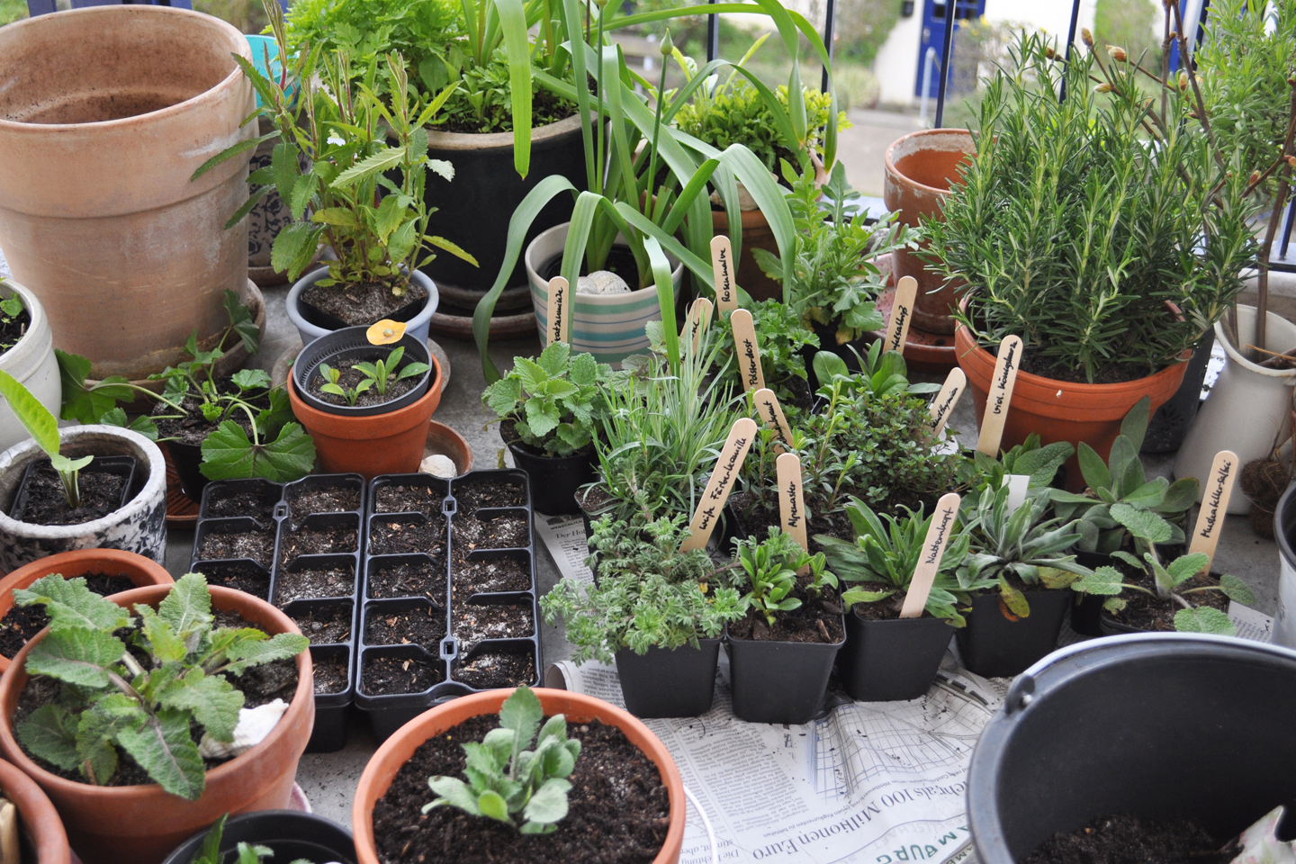 Jede Staude und jeder Sämling bekommt sein individuell gewünschtes Substrat