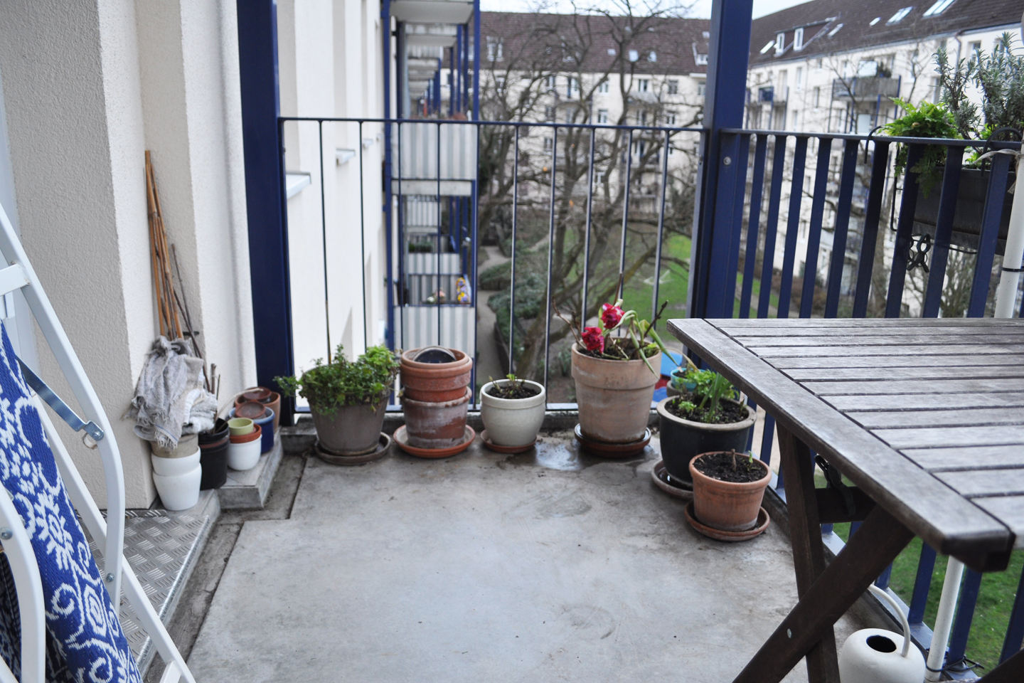 März 2019 – Das Projekt Wildpflanzenbalkon kann beginnen