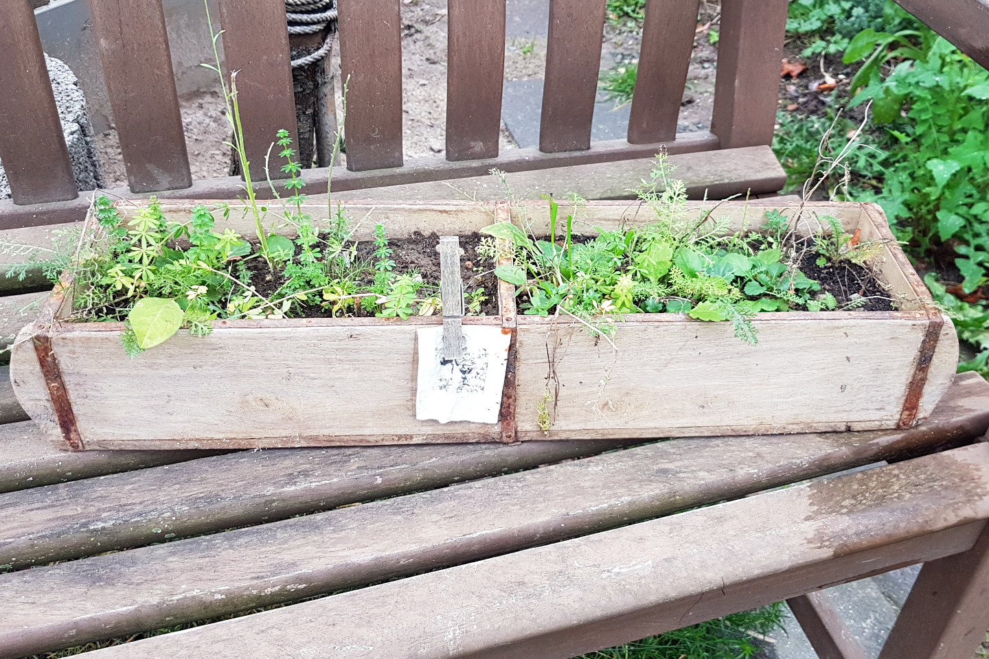 15. November 2020. Verena aus Zons