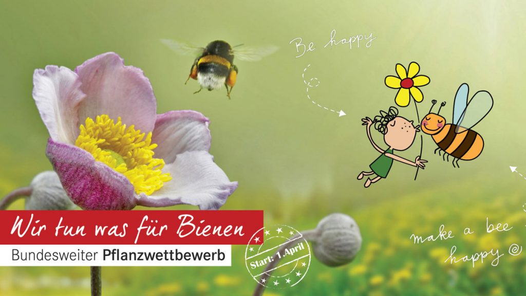Deutschland summt | Bundesweiter Pflanzwettbewerb 2018: Wir tun was für Bienen