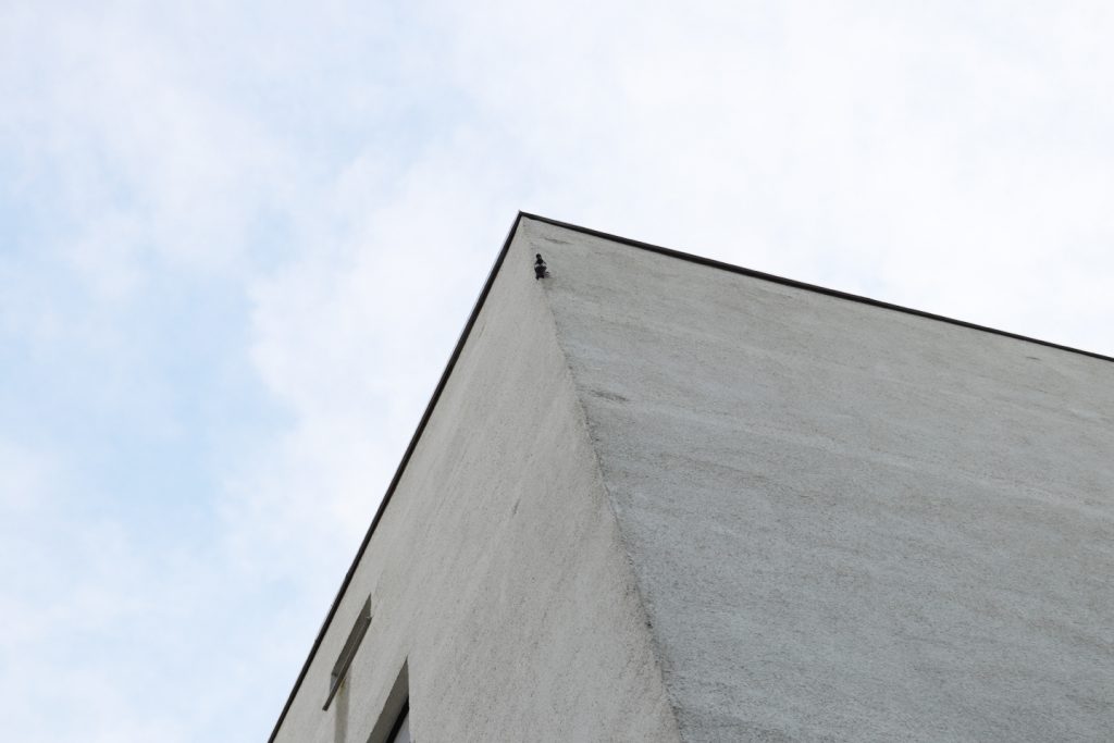 Der Buntspecht hackt Löcher in eine Außenfassade mit einem Wärmedämmverbundsystem in der Münchner Arnulfstraße.