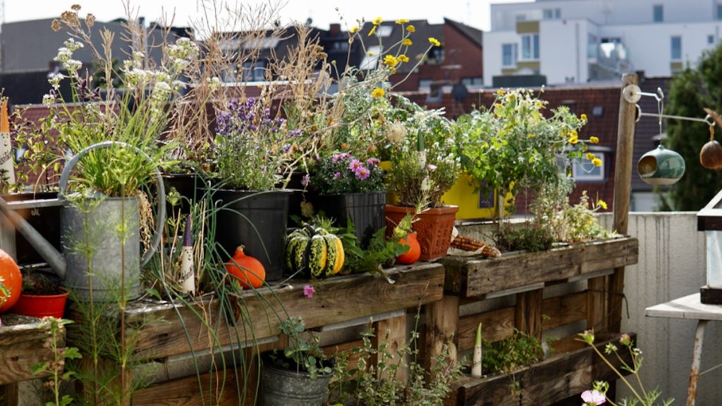 Atessas Herbstbalkon in Paderborn