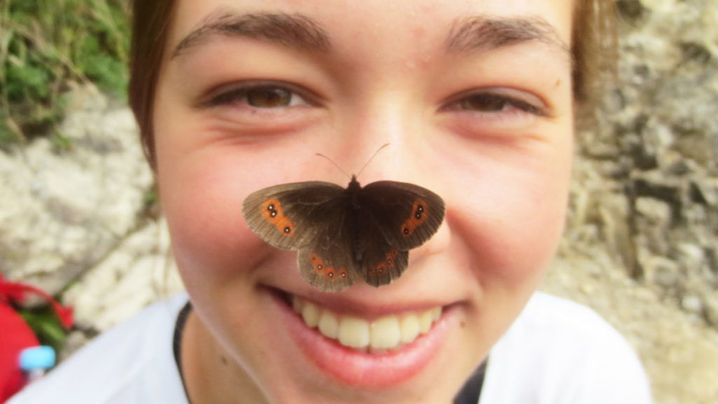 Mitmachaktion: NABU-Insektensommer 2020 - Teil 2