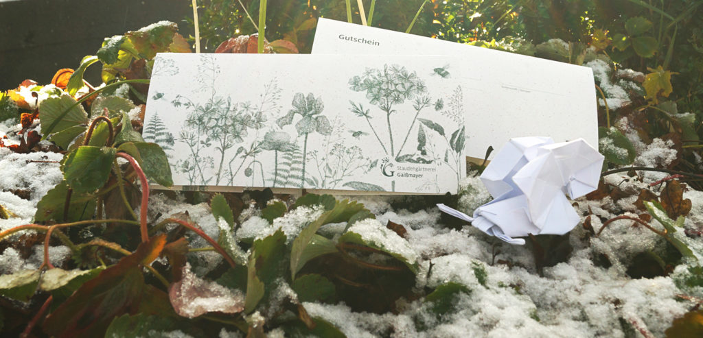 Gutschein Gaißmayer