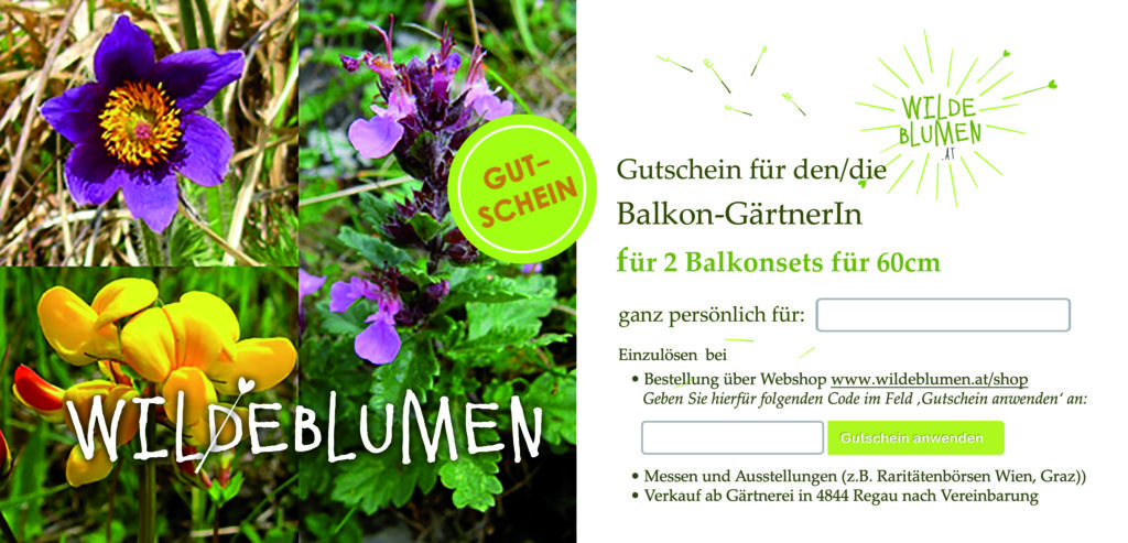 Gutschein Geschenkpaket Balkongärtner