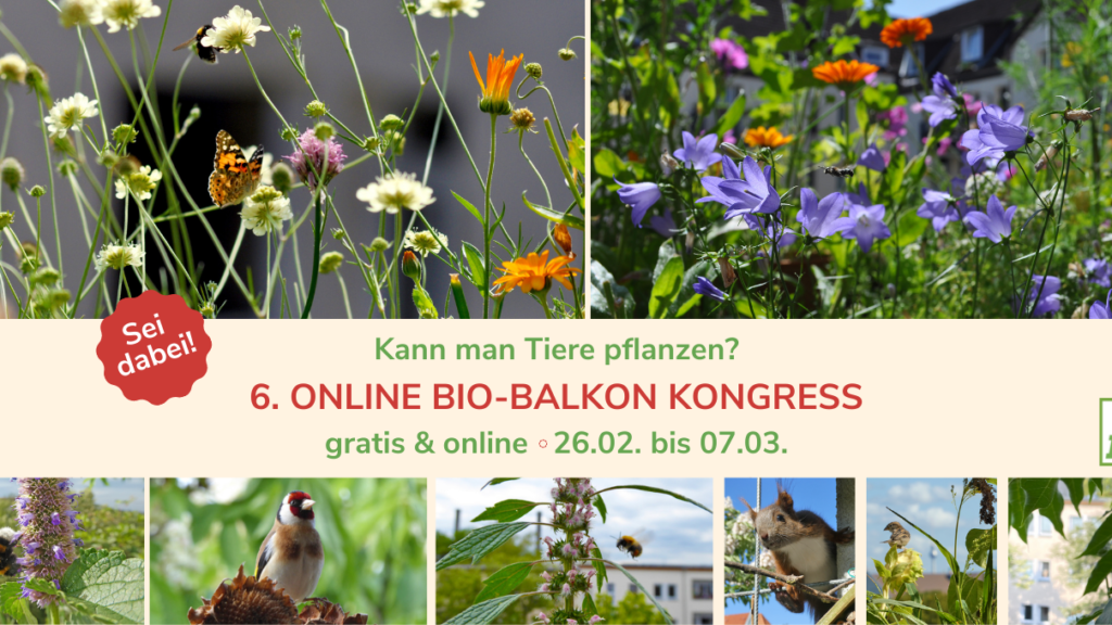 Online-Bio-Balkon-Kongress