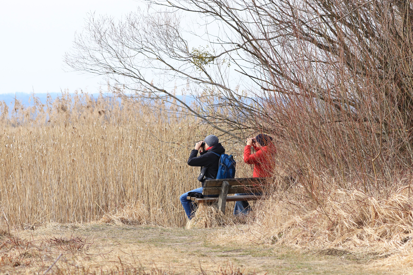 Vogelschutzgebiet Ammersee Süd