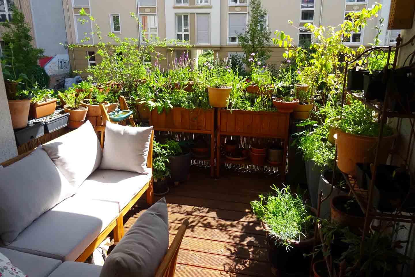 Danielas Balkon im Juni 2020