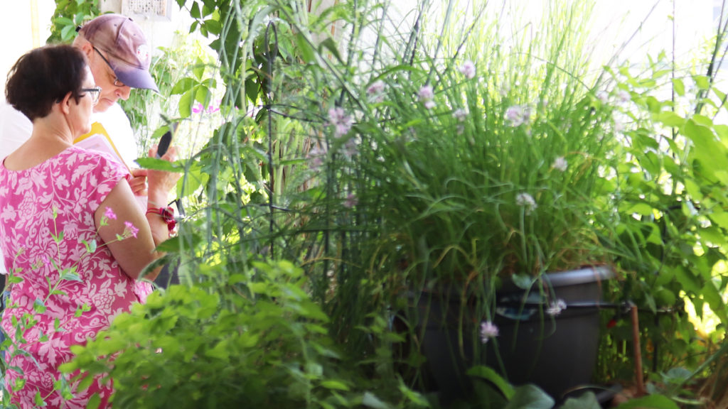 Wilder Meter gewinnt Gold