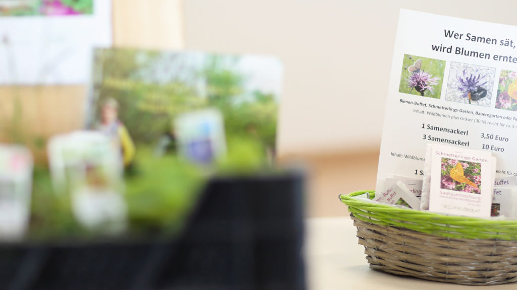 Bienen Buffet Balkon - ein Aussaat-Experiment