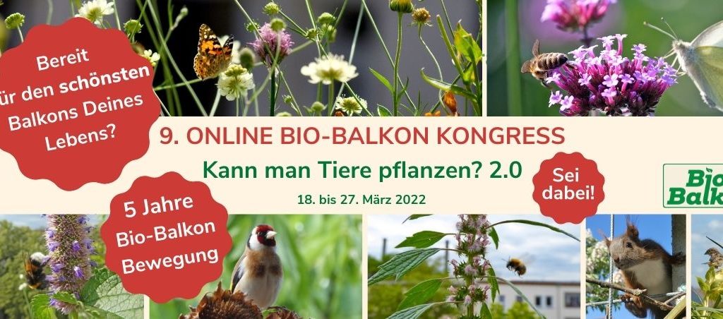 Online Bio-Balkon Kongress "Kann man Tiere pflanzen?" Teil 2