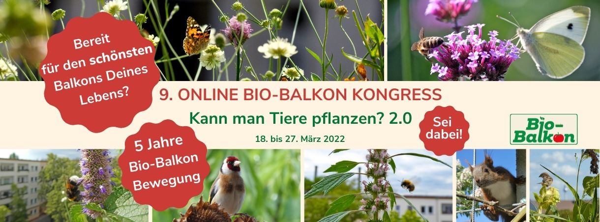 Online Bio-Balkon Kongress "Kann man Tiere pflanzen?" Teil 2