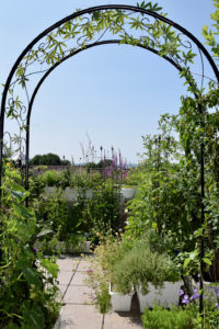 Eingang Hortus Aquis