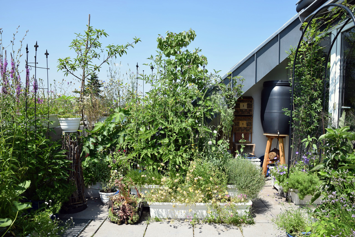Der Wassertank unter dem Dachvorsprung