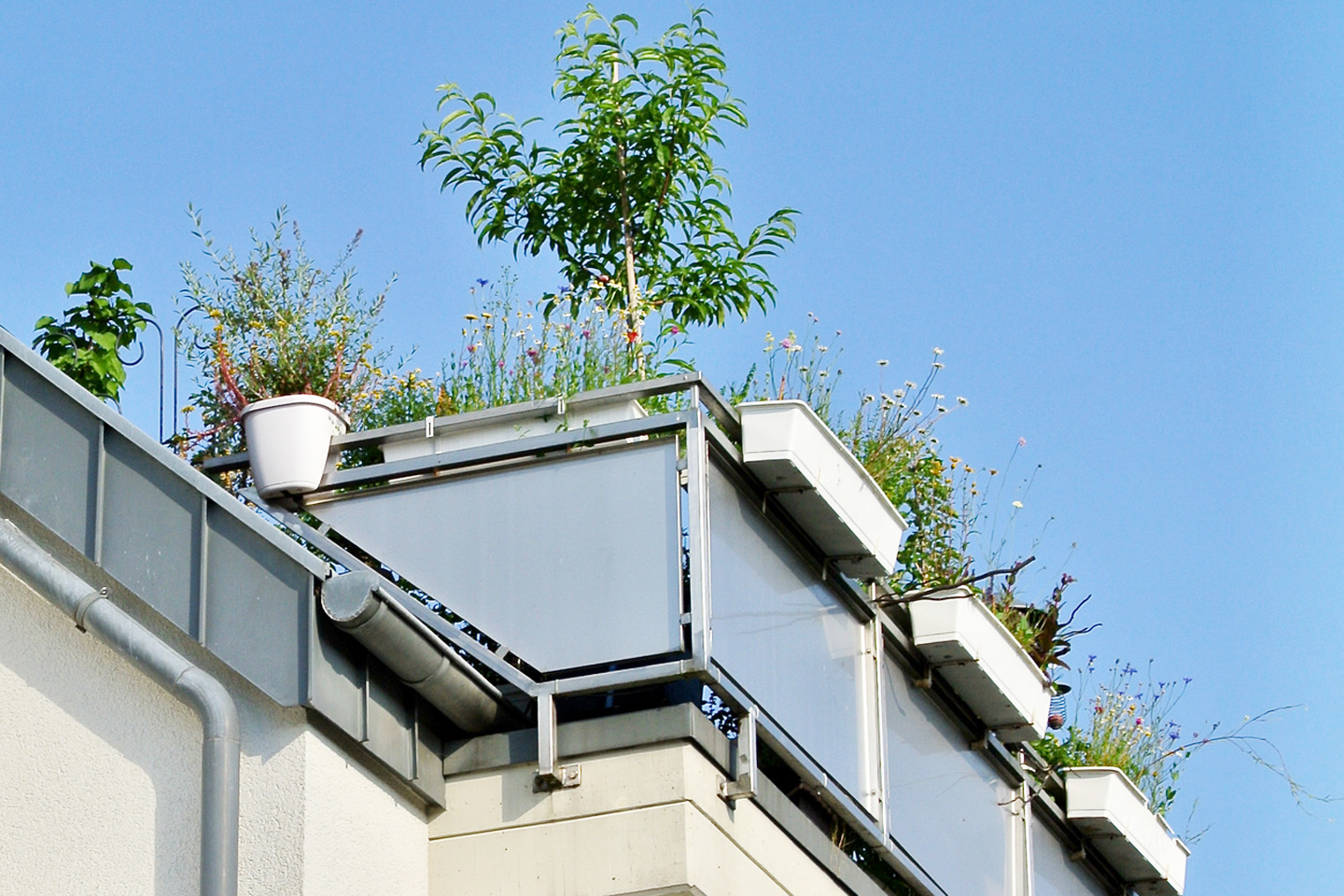 Die Außenansicht unserer Dachterrasse
