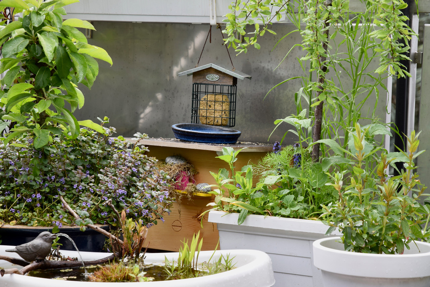 Die Hummelkiste dient auch als Vogel-Futterplatz