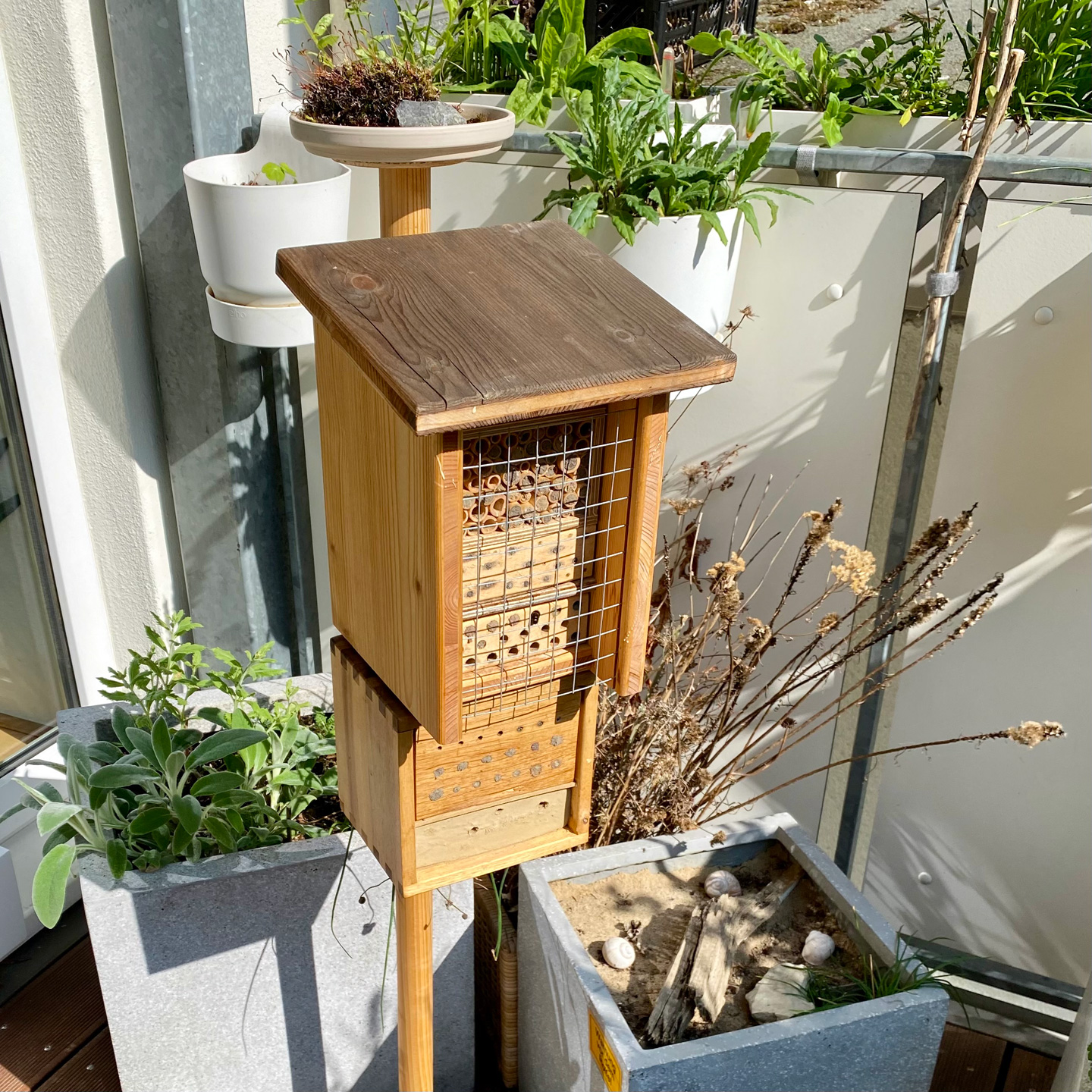 Balkonbesuch bei Katrin in Bielefeld