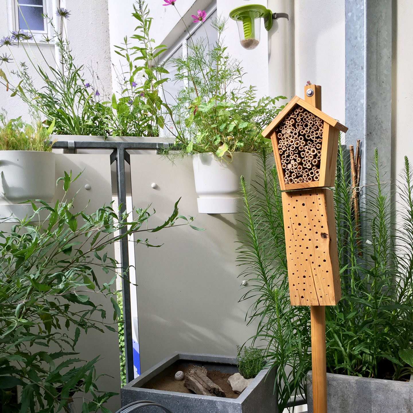 Balkonbesuch bei Katrin in Bielefeld