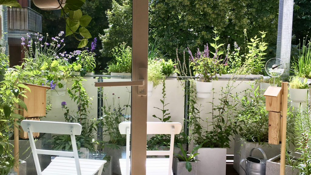 Balkonbesuch bei Katrin in Bielefeld