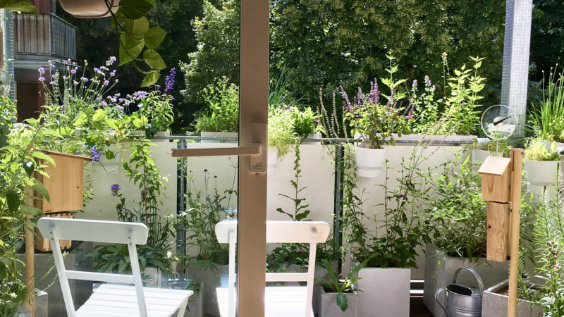 Balkonbesuch bei Katrin in Bielefeld