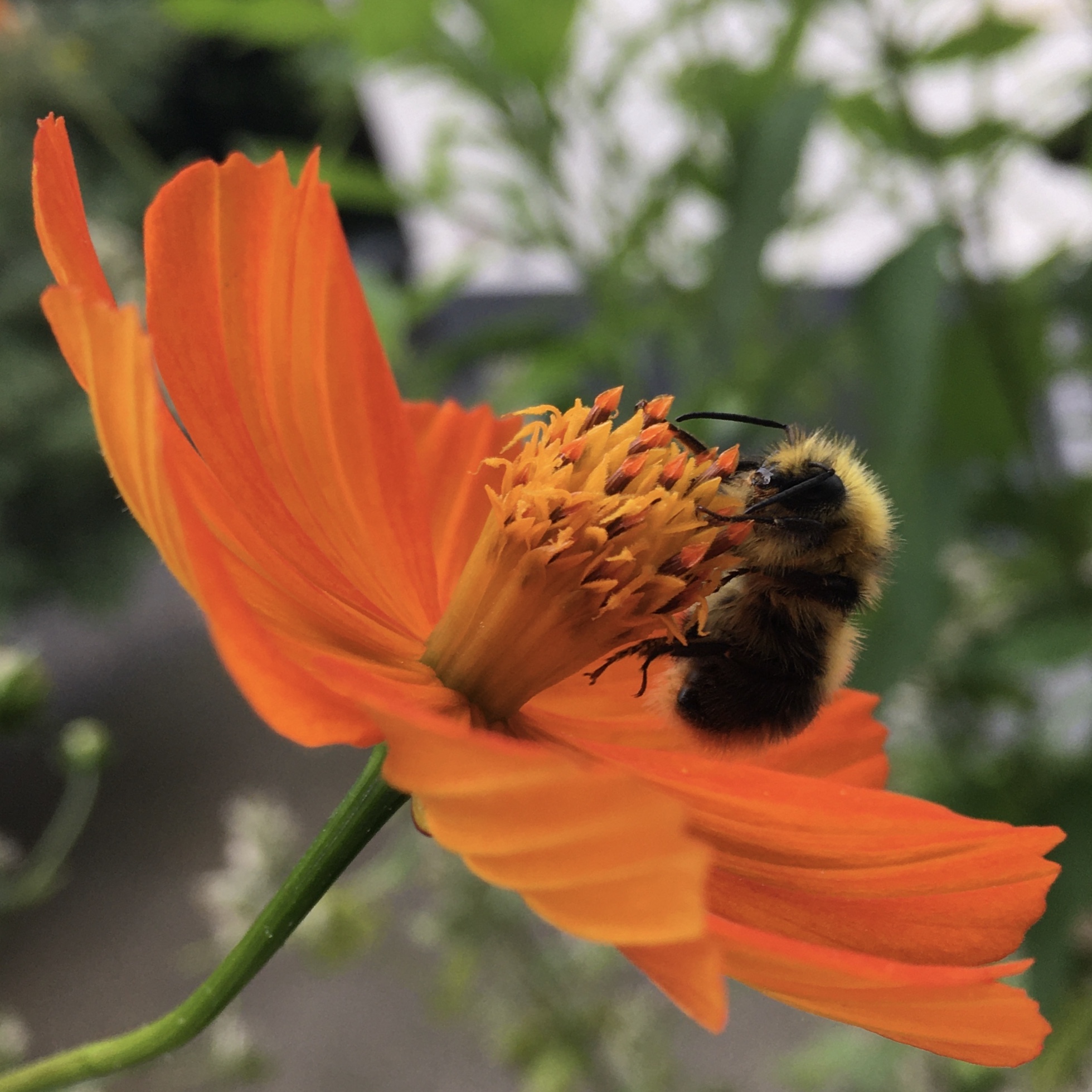 Balkonbesuch bei Katrin in Bielefeld