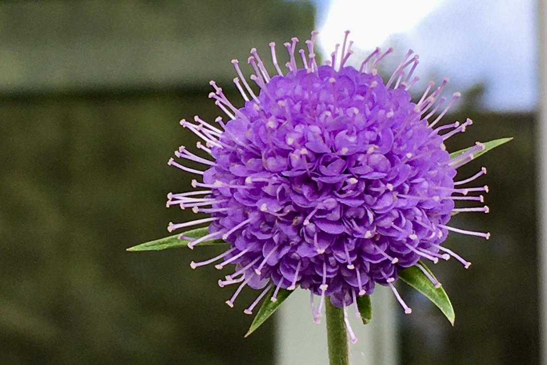 Balkonbesuch bei Katrin in Bielefeld