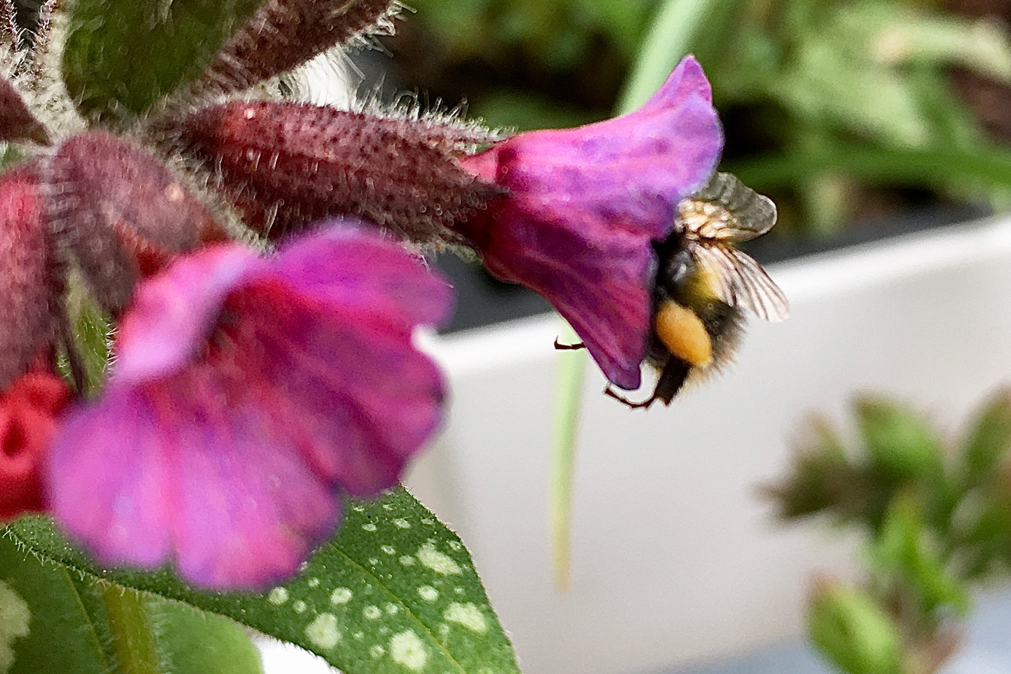 Balkonbesuch bei Katrin in Bielefeld