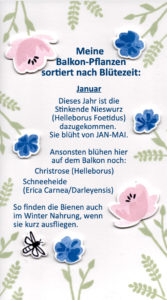 Pflanzenliste Katrin Wittek