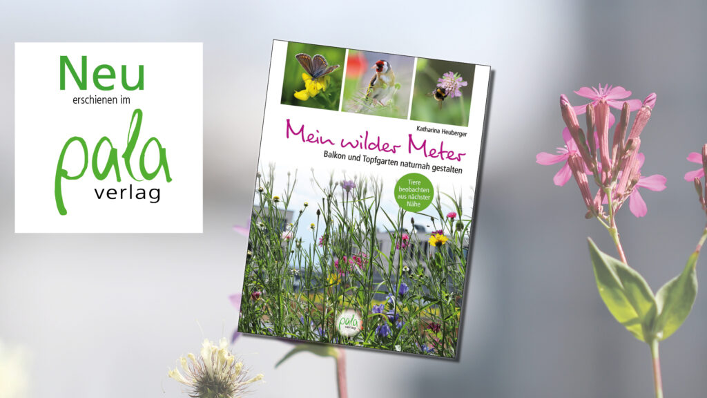 Neuerscheinung Buch "Mein wilder Meter" von Katharina Heuberger, pala-verlag