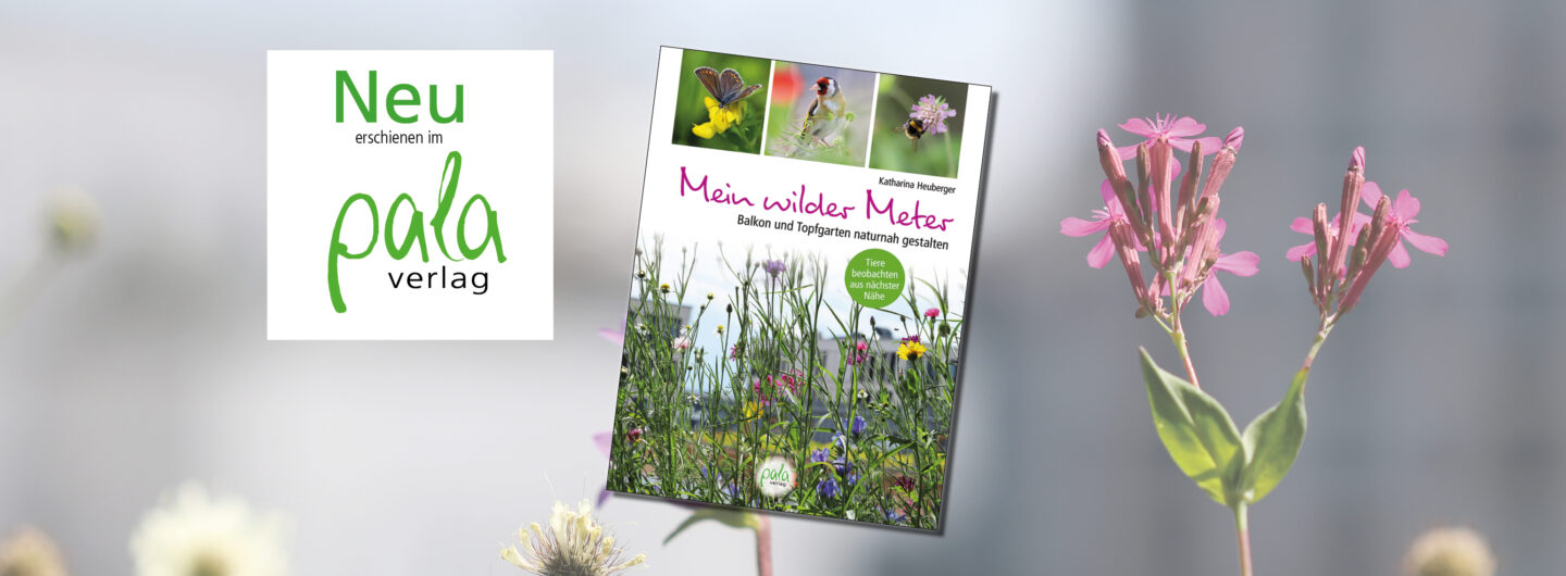 Neuerscheinung Buch "Mein wilder Meter" von Katharina Heuberger, pala-verlag