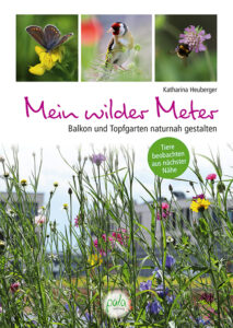 Buch Mein wilder Meter von Katharina Heuberger
