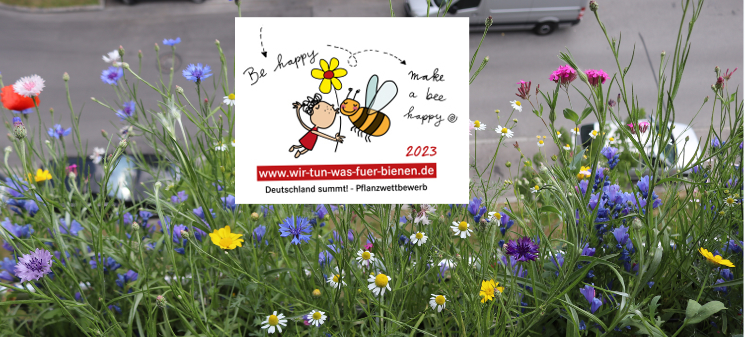 Pflanzwettbewerb „Wir tun was für Bienen“ 2023
