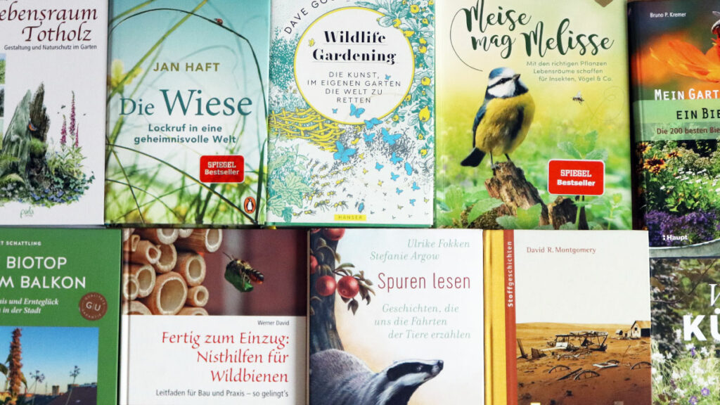 Bücher zu verschenken: Flohmarkt Wilder Meter