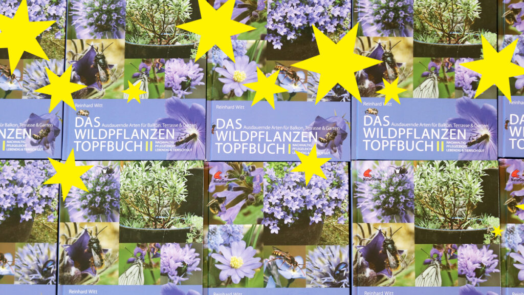 Weihnachtsverlosung Gute Vorsätze 2024