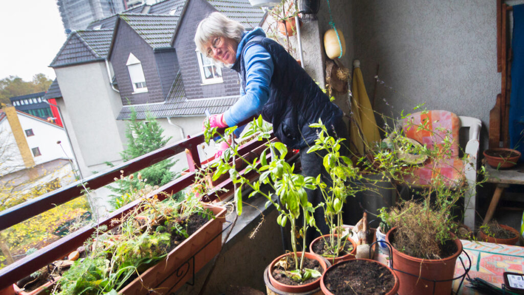 Balkonbesuch bei Sylvia in Frankfurt am Main - Beitrag im Online-Magazin Wilder Meter von Sylvia Meise