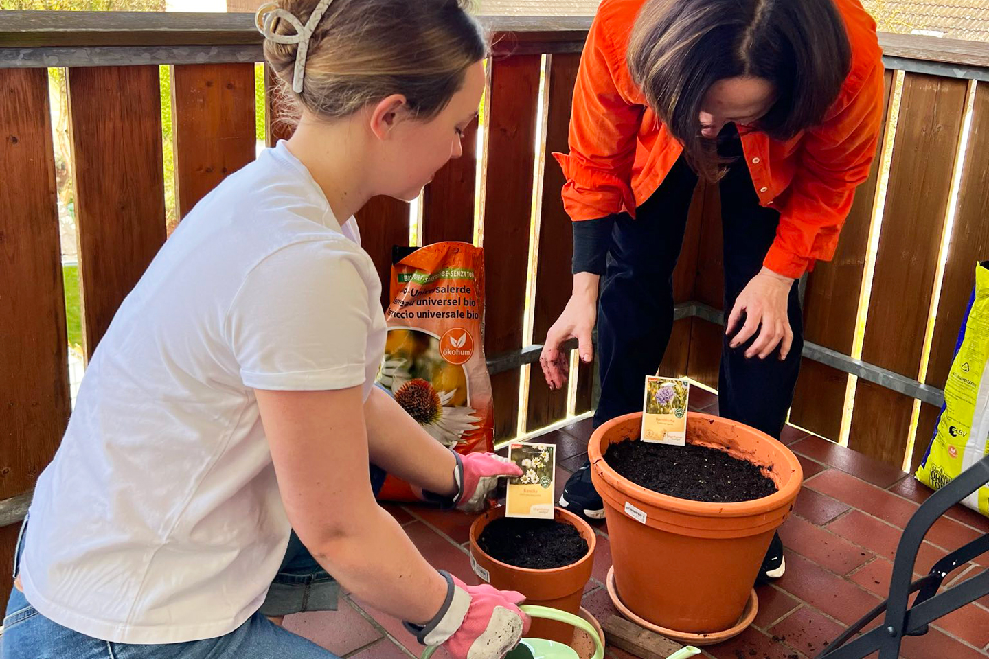 Meine Nichte und ich säen Kornblumen und Kamille als Bienenfutter in Töpfe.